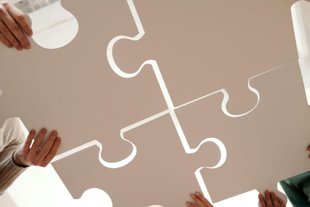 Solving the Venture Puzzle